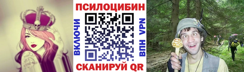 Псилоцибиновые грибы Psilocybine cubensis  Егорьевск 