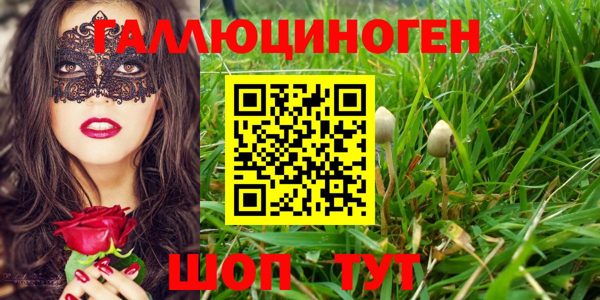 Псилоцибиновые грибы MAGIC MUSHROOMS  Галлюциногенные грибы ЛСД  Егорьевск  Вход с VPN 