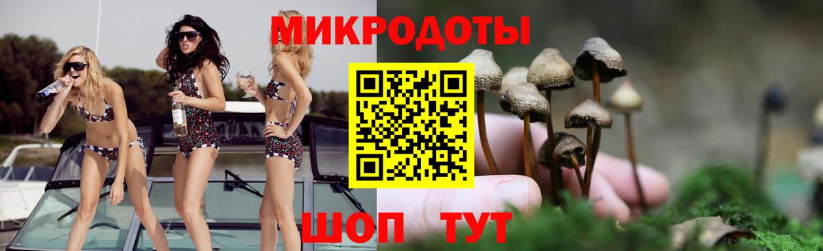 Псилоцибиновые грибы GOLDEN TEACHER Егорьевск